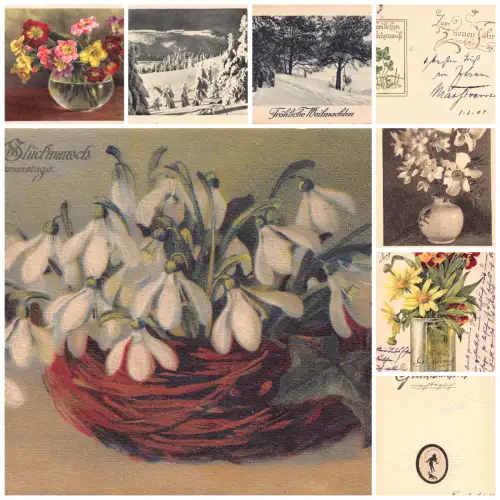 Blumen Bäume Pflanzen Grüße Lot 8 Postkarten L571