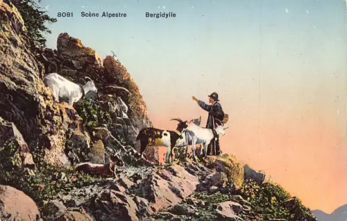 A202 Schweiz Alpen Bergidylle Ziegen Bergsteiger Postkarte