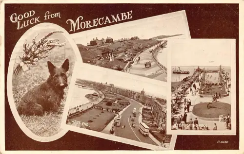 B116 England 1952 Viel Glück vom Morecambe Terrier Hund Mehransicht Postkarte