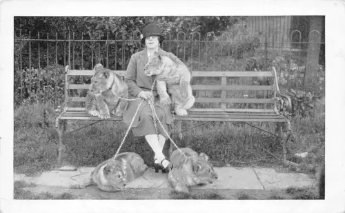 B117 Tiere Dame mit Löwinnen und Löwenbaby an der Leine Vintage Postkarte