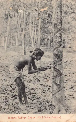 A833 Ceylon Sri Lanka Gewindeschneiden Gummi Halbspirale System Ethno Mann Postkarte