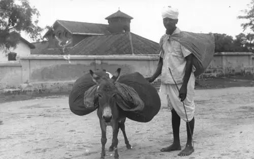 A833 Indien Dohki Bhiwani Esel ethnischer Mann Ureinwohner RPPC Postkarte