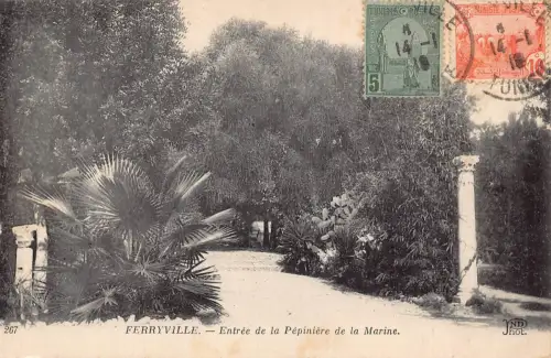 B491 Tunesien 1918 Menzel Bourguiba Ferryville Entree Pepiniere Marine Postkarte