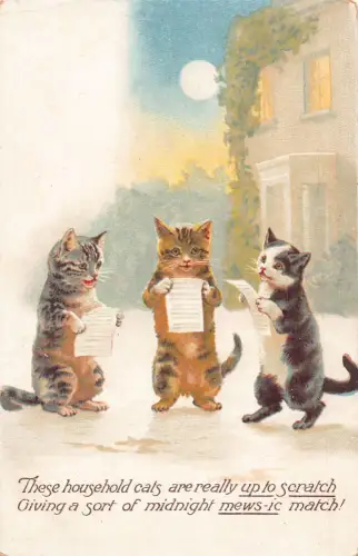 Tiere vermenschlichte Katzen Kätzchen Sänger Mondschein 1909 Postkarte B922