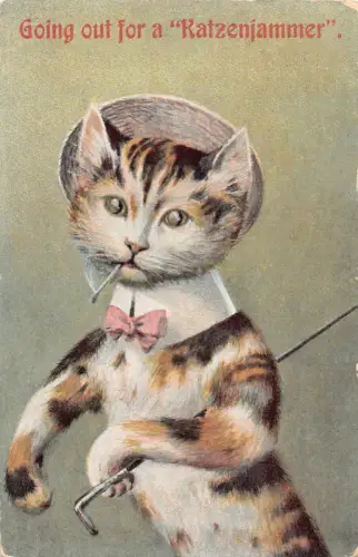Tiere vermenschlichtete Dame Katze rauchen Zigarette Katzenjammer 1909 Postkarte B922