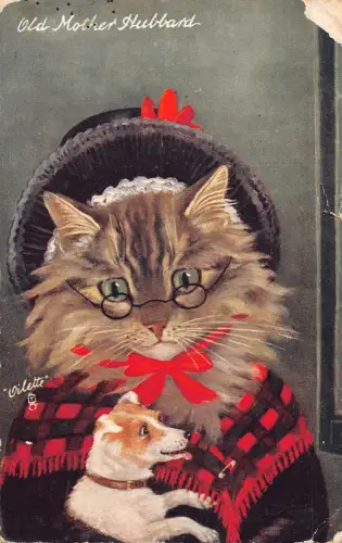 Tiere vermenschlicht Katze Oma alte Mutter Hubbard Hund Haustier 1908 Postkarte B924