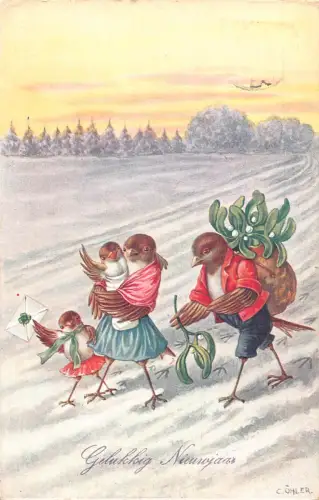 Neujahr 1931 Schwalbenvögel vermenschlicht Kleeblatt Tannenzapfen C Oehler Postkarte B923