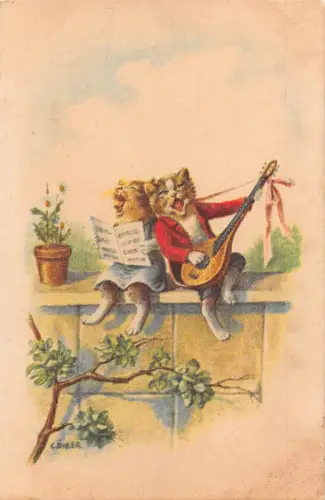 Katze Tiere vermenschlichte Kätzchen spielen Gitarre singendes Paar C Oehler Postkarte B923