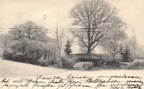 A225 Schweden 1905 Goeteborg Slottskogen Brückenpark Vintage Postkarte