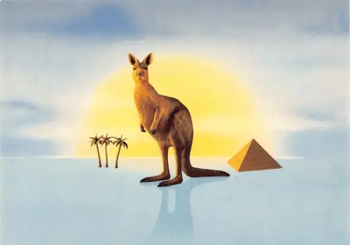 L291 Zigaretten Werbung Kamel Lichter Känguru Pyramide Palme Postkarte