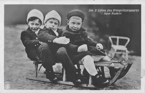 L064 Deutschland Königtum Söhne des Kronprinzen Schlitten Vintage Postkarte
