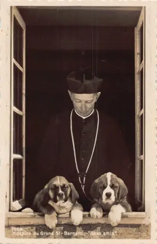 A846 Schweiz Hospiz du Großmönch Bernhardiner Welpen RPPC Vintage Postkarte