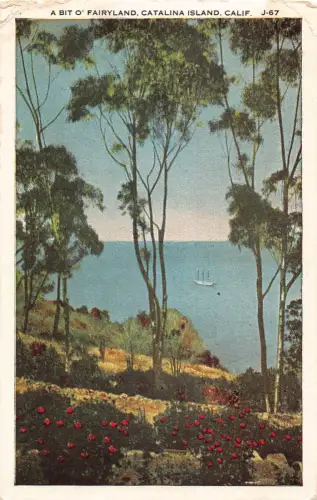 A846 USA Kalifornien Catalina Island Ein bisschen Märchenland Vintage Postkarte