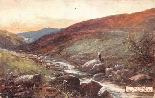 A852 England 1907 Dartmoor Near Okery Bridge Kunst Schaf Vintage Postkarte