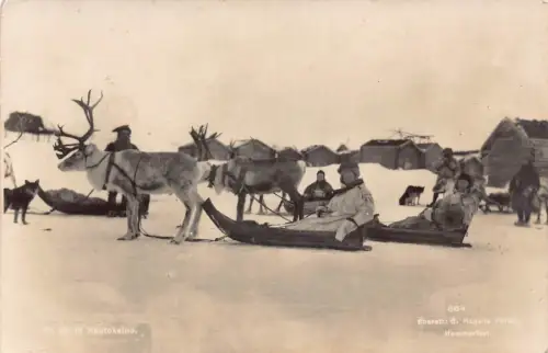 Norwegen Rentierschlitten auf dem Weg nach Kautokeino Echtfoto Feldpostkarte