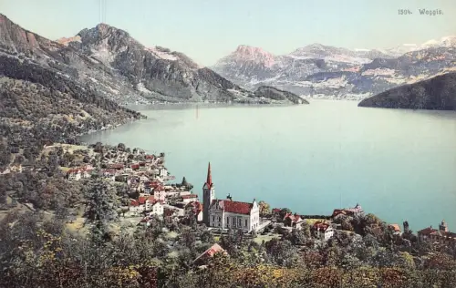 A041 Schweiz Weggis Seestadt Berg Vintage Postkarte