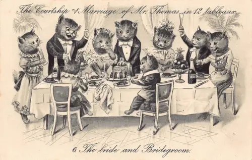 Fantasy Humanisierte Katze Hochzeit von Herrn Thomas Hochzeit Party Postkarte B927