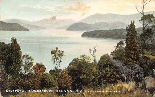 B597 Neuseeland Kenepuru Marlborough Sounds Vintage Postkarte