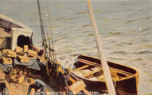 A051 Boot Bord Fisch auf Kutter Kingston Orchesterkapelle Aufdruck Postkarte