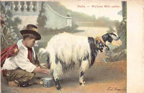 Malta Malteser Milchverkäufer Junge Ziege Ethno Vintage Postkarte B932