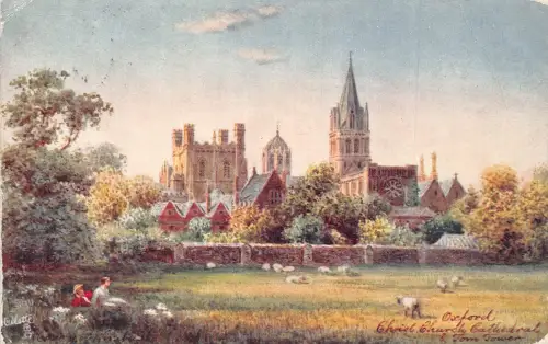 A241 England 1908 Oxford Kathedrale Tom Tower Schafe Kunst Oilette Postkarte
