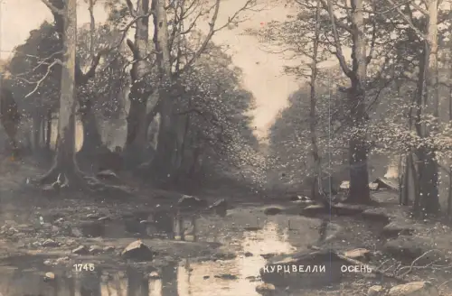A865 Russische Kunst Herbst am Kurzvelli Fluss Wald Landschaft Vintage Postkarte