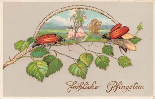 Pfingstgrüße Mai Käfer Blätter Passepartout Landschaft Postkarte