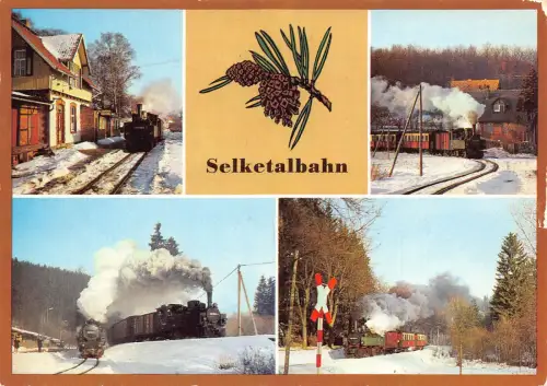 Deutschland Selketalbahn Eisenbahn Dampflok Lok Tannenzapfen Multiview Postkarte