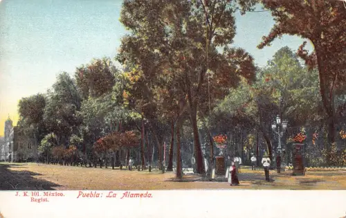 A865 Mexiko Puebla La Alameda Vintage Postkarte
