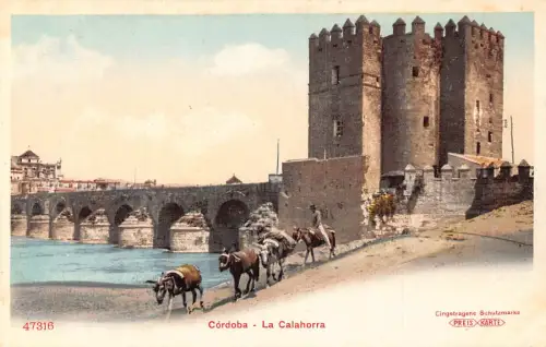 A868 Spanien Cordoba La Calahorra Esel Vintage Postkarte