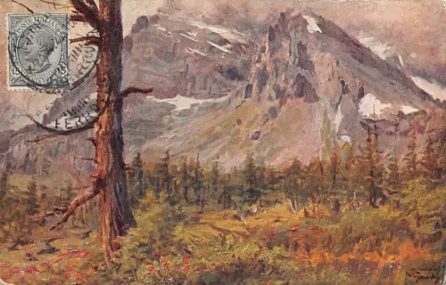 L139 Italien 1922 N Gradi Monteleone Rododendri im Fiore Mountain Vintage Postkarte