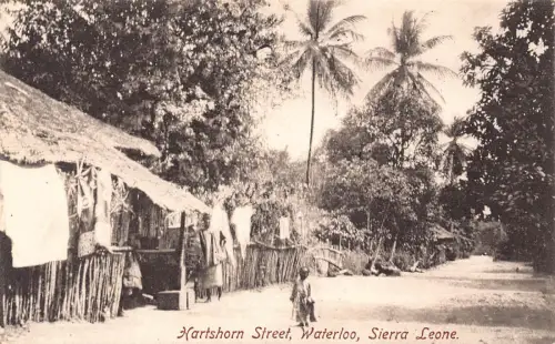 L549 Sierra Leone Waterloo Kartshorn Street Vintage Postkarte