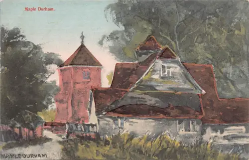 B142 England Ahorn Durham Vintage Postkarte