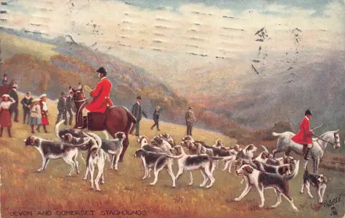 B154 Jagd 1908 Devon und Somerset Hirschhunde Beagles Jäger Postkarte