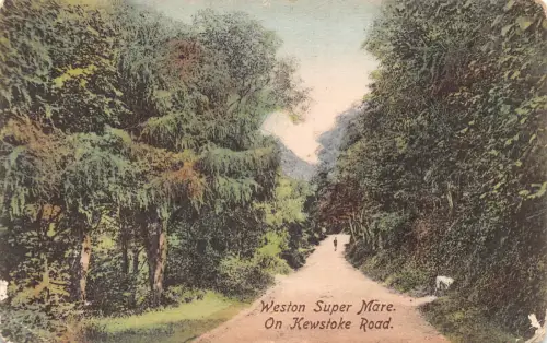 B144 England 1905 Weston-Super-Mare Kewstoke Road Vintage Postkarte