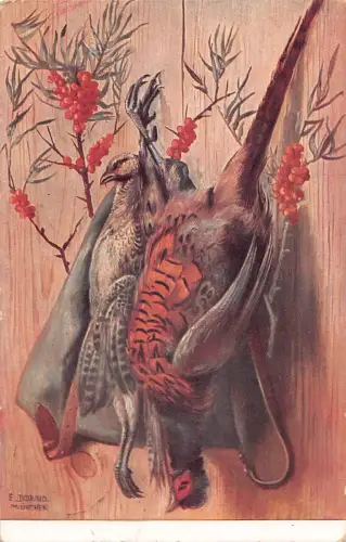 B162 Kunst von E Dorno Tiere Stofftier hängende Fasane Vögel Postkarte