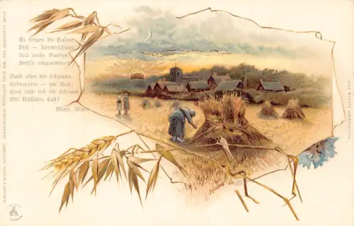 B163 Landwirtschaft Passepartout Weizen Gedicht Bauer Heu Sonne Postkarte