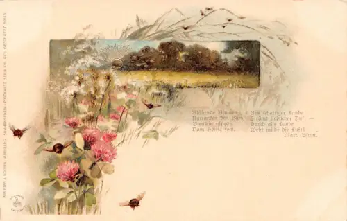 B163 Natur Passepartout Gedicht Sonnenuntergang Distel Bienen Vintage Postkarte