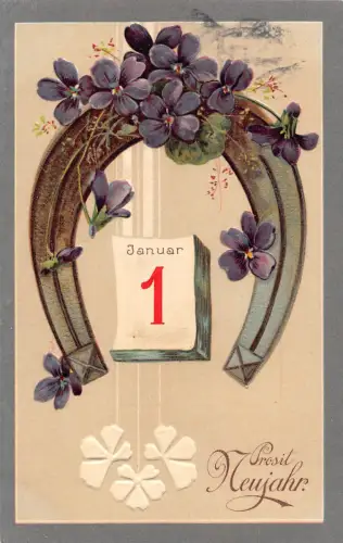 B151 Neujahrsgrüße 1909 Hufeisen Veilchen Kalenderblatt geprägte Postkarte