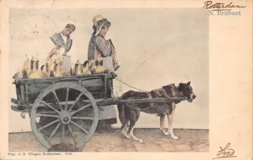 B613 Belgien Laitiere Flamande Flämische Milchmädchen Hundewagen N Brabant Postkarte