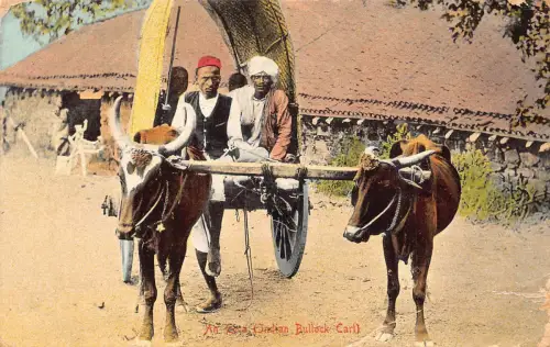 B613 Indien 1913 Ein Ecca Indianer Ochsenwagen Ureinwohner Ethno Postkarte
