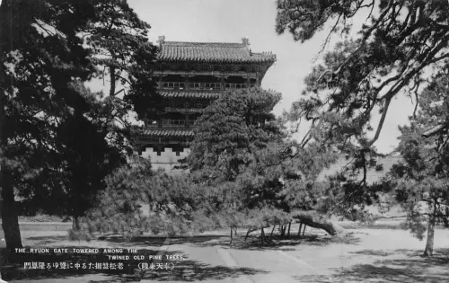 A874 China Shenyang Ryuon Tor überragt zwischen gezwirnten alten Kiefern Postkarte