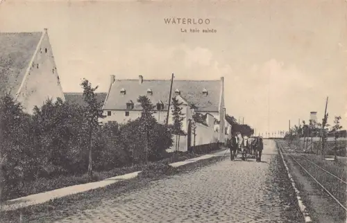 A874 Belgien Waterloo Haie Sainte Kutsche Vintage Postkarte