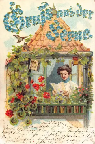 Gruss aus der Ferne 1905 Frau liest Brief Balkon Vögel Prägepostkarte
