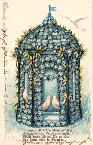 Allegorischer Vogelkäfig Vergissmeinnicht Blumen Tauben Gedicht 1907 geprägte Postkarte