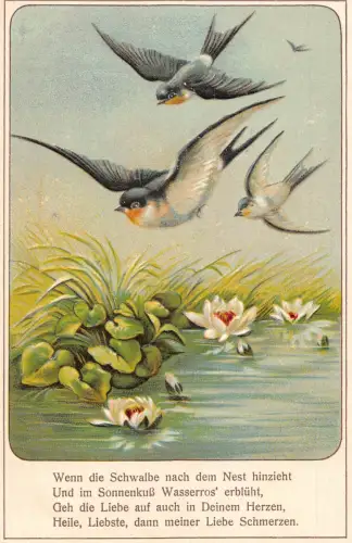 Frühlingslandschaft Schwalbe Vögel fliegen Lotusblume See geprägte Postkarte