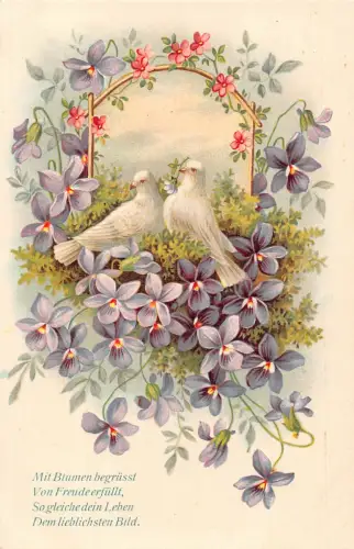 Romanisches Gedicht Paar Taubenvögel Veilchen geprägte Postkarte