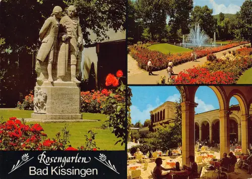 Deutschland 1989 Bad Kissingen Rosengarten Vintage Postkarte C442