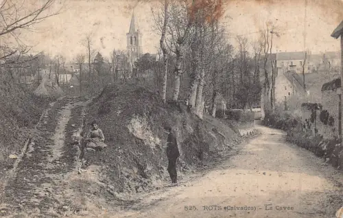 C010 Frankreich, Rots (Calvados), La Cavee Vintage Postkarte