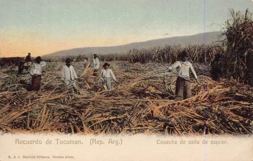 A878 Argentinien Recuerdo de Tucuman Cosecha Ureinwohner Bauern Mähen Postkarte